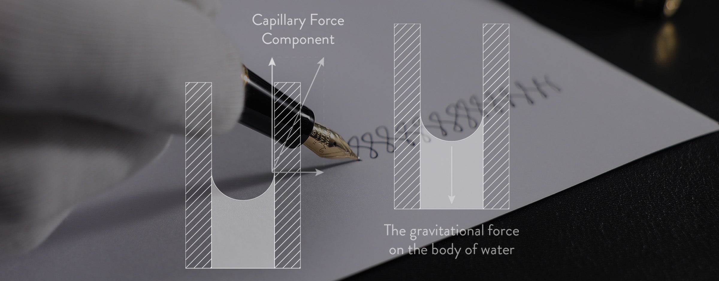 How does a nib work? Part 1